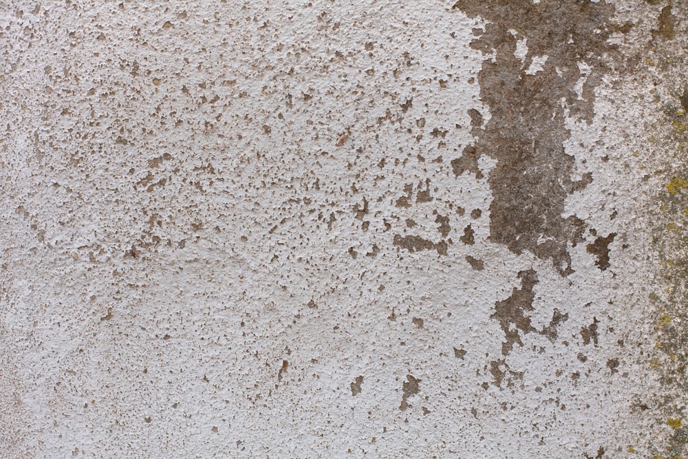 Water Damage